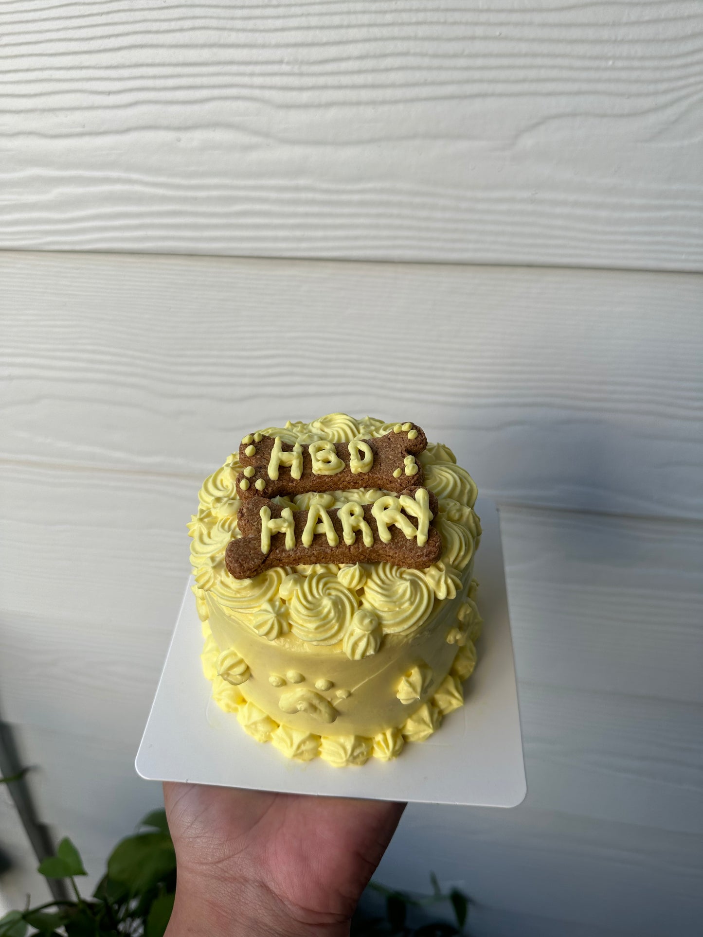 Dog Cakes - Local Pick Up