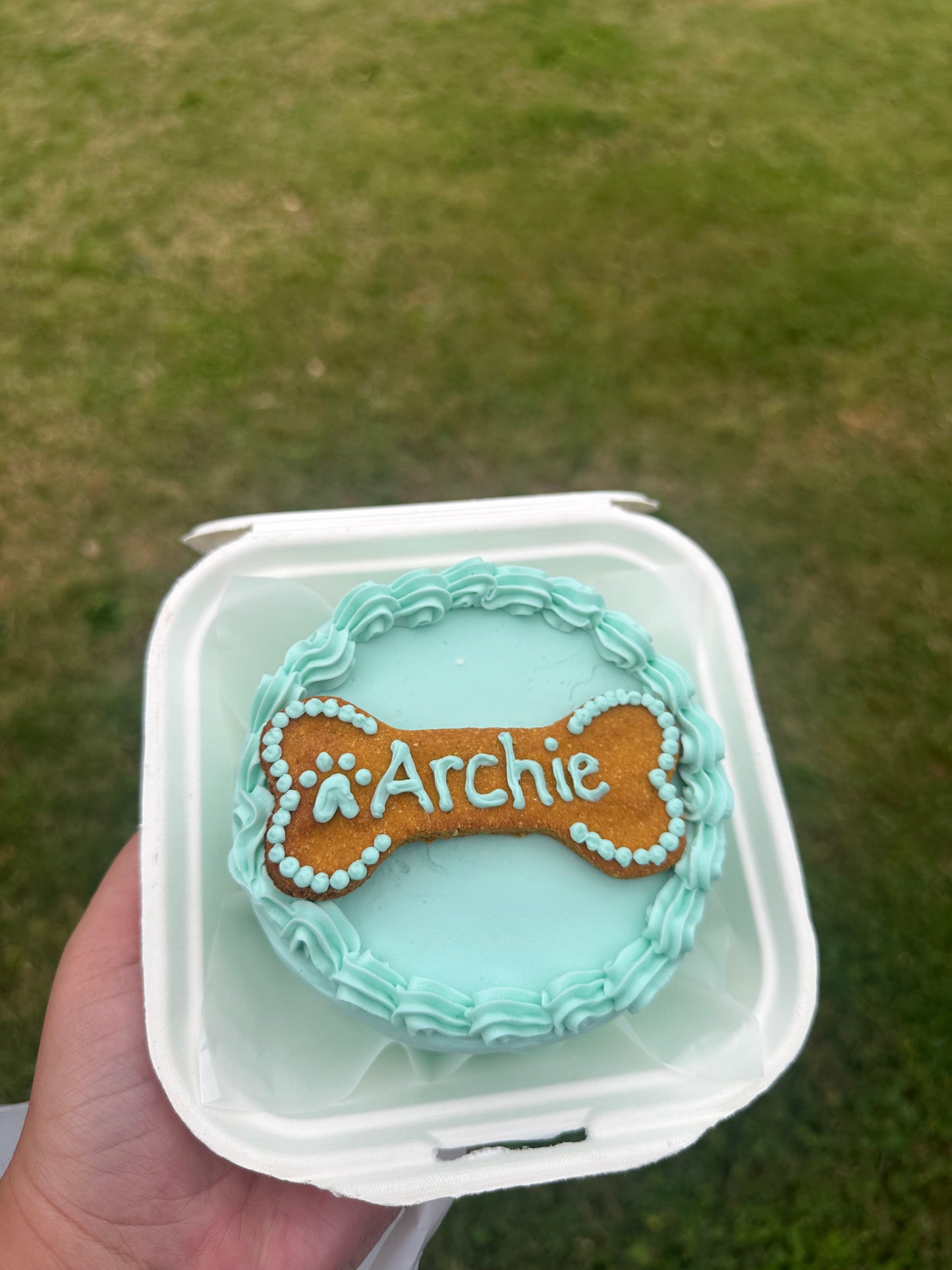 Dog Cakes - Local Pick Up