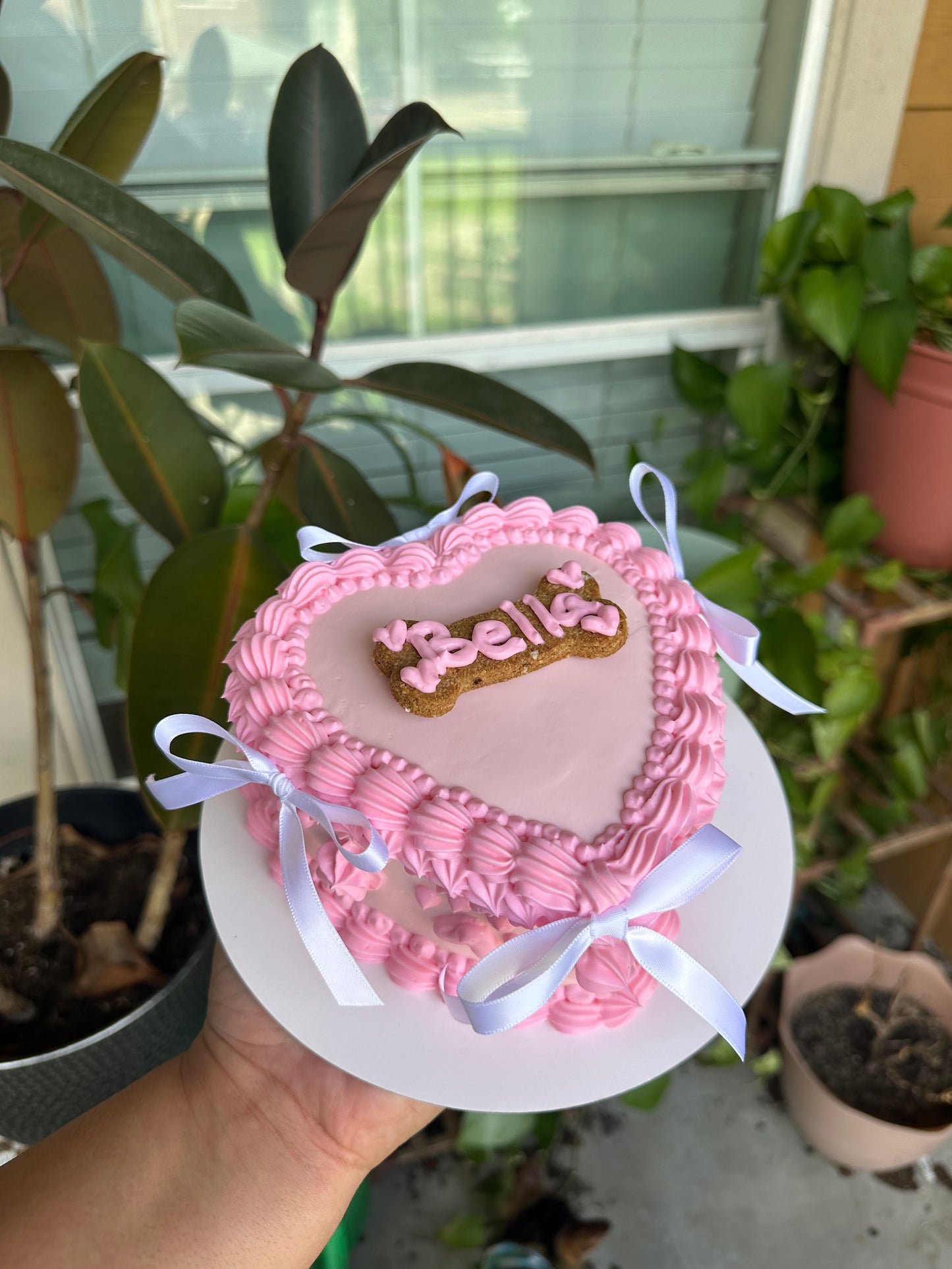 Heart Shaped Dog Cake