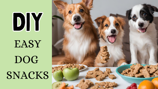 DIY Easy Dog Snacks
