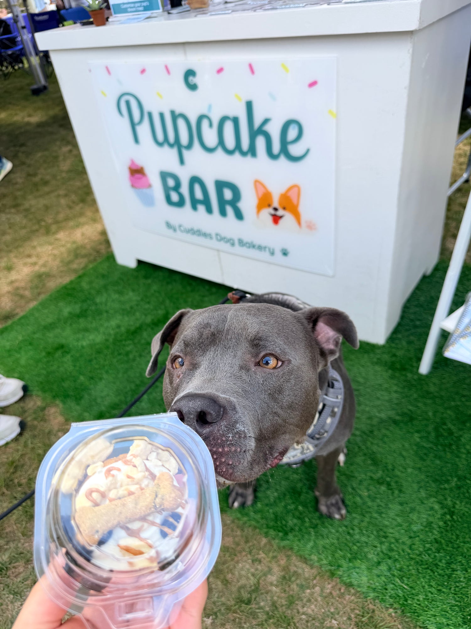 Pupcake Bar