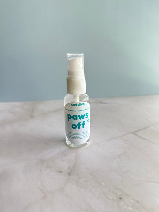 Bug Repellent Spray