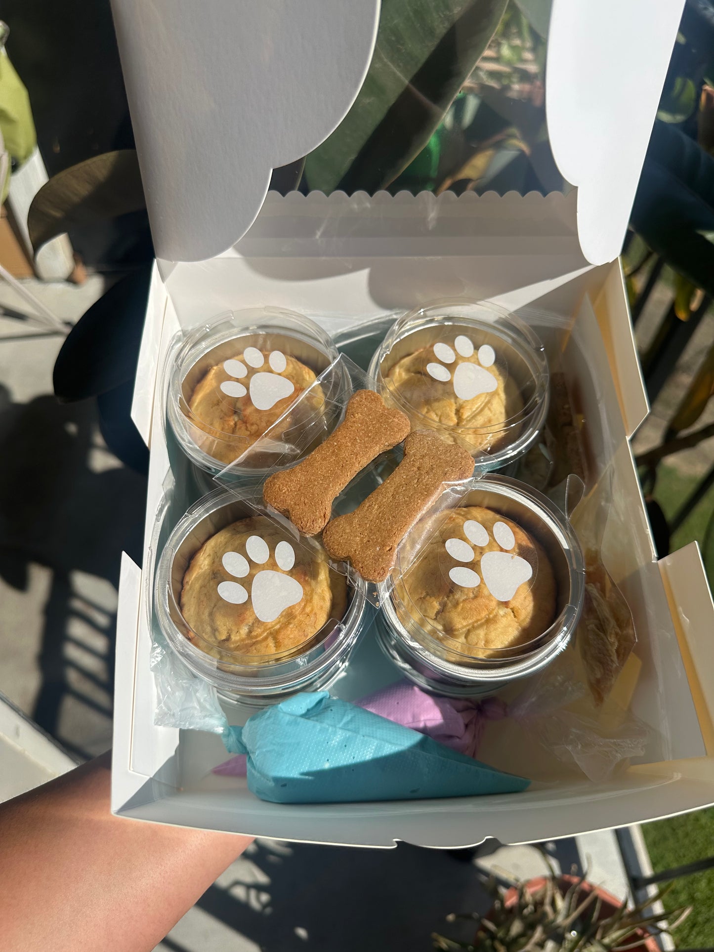 Pupcake Kit - DIY